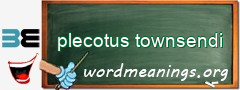 WordMeaning blackboard for plecotus townsendi